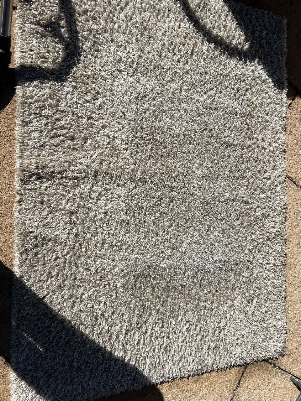 Professional carpet cleaning